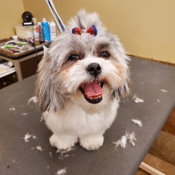 Profile Picture of Lisa Lackas (@yadyyackas) on Poshmark