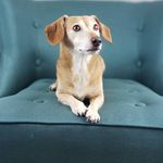 Profile Picture of Trina Pruitt (@trinapruitt4) on Instagram