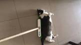 Profile Picture of   Richard Fernandez... (@richardfernandez19) on Tiktok