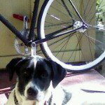 Ryan Mallett - Instagram Profile Picture of Ryan Mallett (@atxbmx1) on Instagram