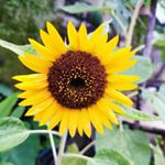 Profile Picture of paula dizon (@pau.dzn) on Instagram