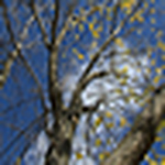 Profile Picture of Kevin Porter (@porterkm) on Flickr