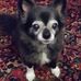 Profile Picture of Jeffrey Timm (@jeffrey.timm.56) on Facebook