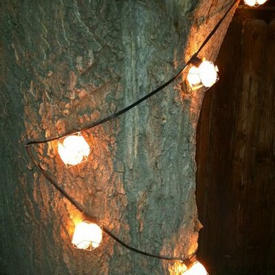 Profile Picture of Chris Millette (@chrismillette) on Twitter