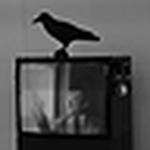 Profile Picture of Mauro Davide Savino (@Savino M. D.) on Flickr