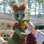 Flory Gabor - Instagram Profile Picture of Flory Gabor (@florentinaamy10) on Instagram