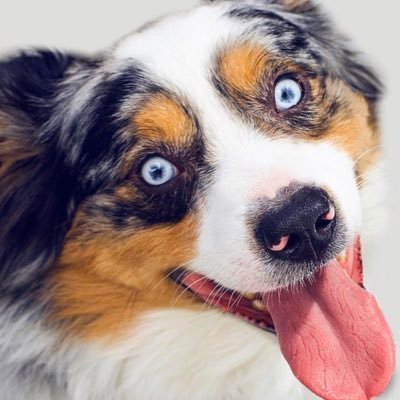 Profile Picture of Shelly Prieto (@ShellyPrieto4) on Twitter