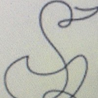 Profile Picture of Steve Rohr (@steve-rohr-7) on Quora