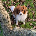 Alice ”Moonhaven True Love” - Instagram Profile Picture of Alice ”Moonhaven True Love” (@moonhavenalice) on Instagram