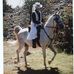 Profile Picture of Myrna Jean Glick (@Myrna-Jean-Glick) on Facebook