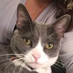 Profile Picture of Henners (@henri_benjamin) on Instagram