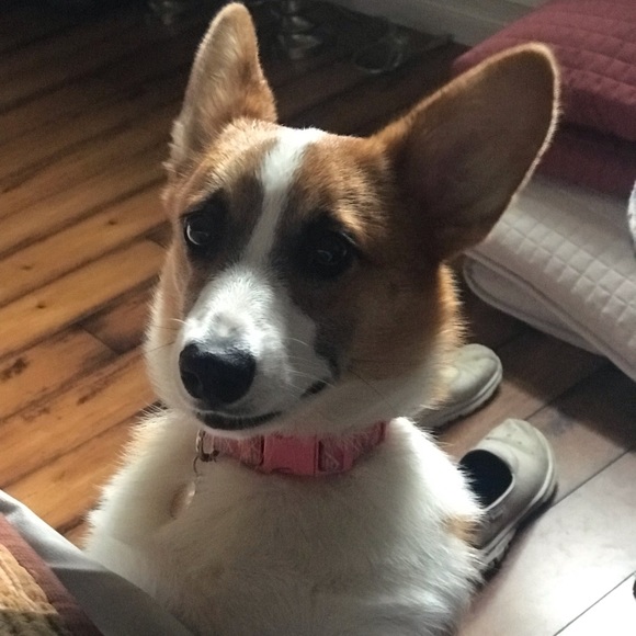 Profile Picture of Thelma Slaney (@tmayslaney) on Poshmark