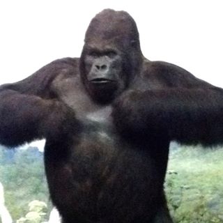 Profile Picture of Mark Yacko (@mark.yacko.52) on Facebook