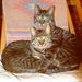 Profile Picture of Dixie Simon (@dasimon0985) on Pinterest