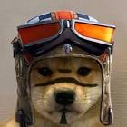 Profile Picture of   Snowy(@snowy.is.just.gone)... (@snowy.is.just.gone) on Tiktok