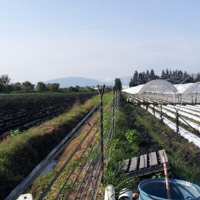 Profile Picture of JOSE LUIS OREGEL (@luisore78) on Twitter