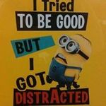 Carl Worley - Instagram Profile Picture of Carl Worley (@carl.worley) on Instagram