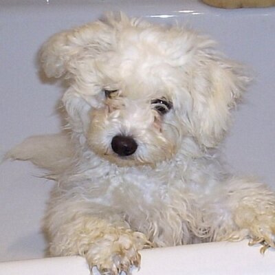 Profile Picture of Stephen Blake (@Stephen_Writer) on Twitter