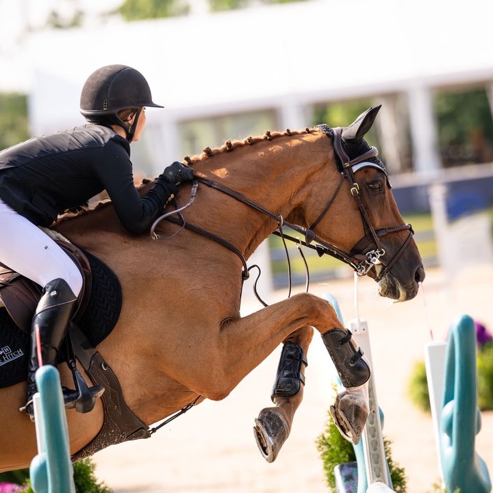 Profile Picture of Jesse (@jesse_krus) on Tiktok