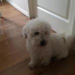 Profile Picture of jeffdahlstrom (@jeffdahlstrom) on Instagram