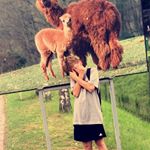 Profile Picture of Daniel Madeja (@danielmadeja) on Instagram