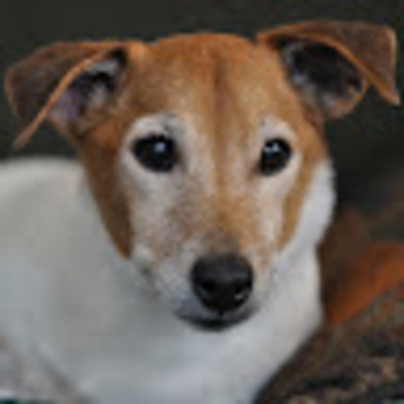 Profile Picture of Robert Ballard (@ruscopin) on Poshmark