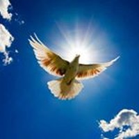 Profile Picture of Tran Hang (@tran-hang-5) on Quora