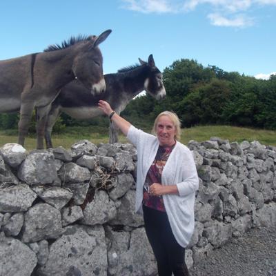 Profile Picture of Janet McDonagh (@MaxandMol) on Twitter