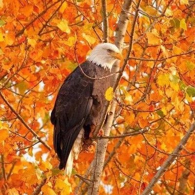 Profile Picture of Mark Glover (@markglover74) on Twitter