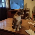 Profile Picture of Kenneth Geffers (@kenneth.geffers.1) on Facebook