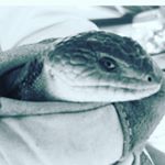 Profile Picture of erik clayton (@ericfromberwick) on Instagram