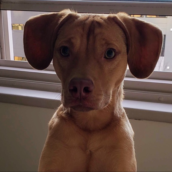 Profile Picture of Cory Hutchens (@coralexhut) on Poshmark