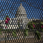 Profile Picture of Lori Van Gemert (@lorivg2021) on Flickr