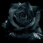 Profile Picture of Batool Jamal Al Bataineh (@batool_jamal_al_bataineh) on Instagram