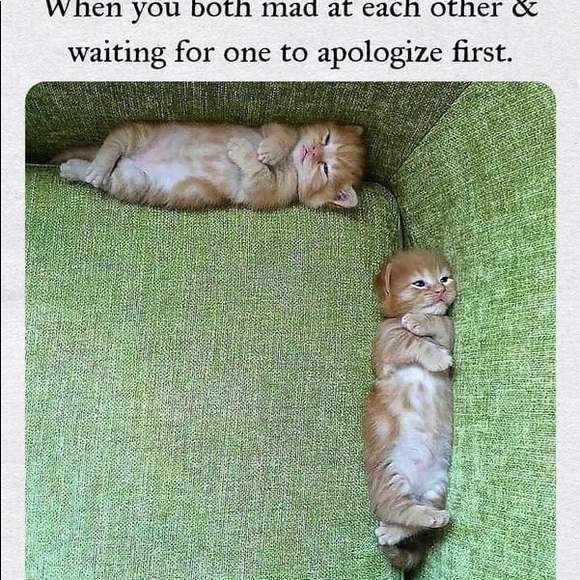 Profile Picture of Tran Harris (@tranharris) on Poshmark