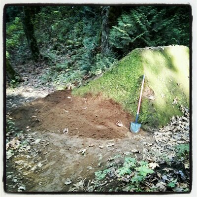 Profile Picture of Matt Dennie (@DennieMatt) on Twitter