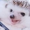 Profile Picture of Corey Blackburn (@@bbtt206) on Tiktok