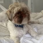 Profile Picture of Brandy Tran (@brandy.tran.631155) on Facebook