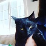 Profile Picture of Cindy Escobar (@littlecindycupquake7890) on Instagram