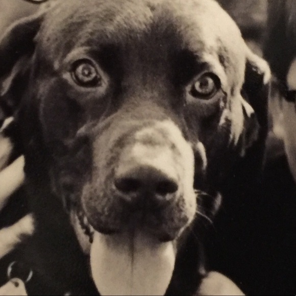 Profile Picture of Emily Oyler (@ehackett34) on Poshmark