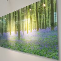 Profile Picture of Cindy Lui (@cindy-lui-14) on Quora