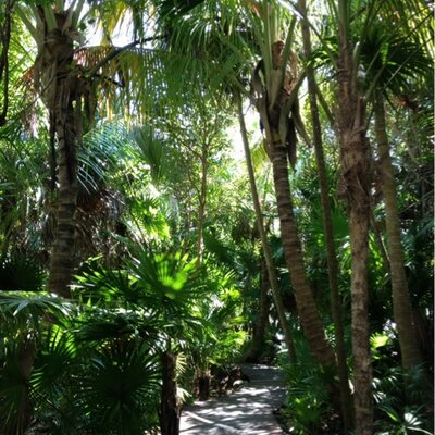 Profile Picture of Michael Meurer (@EngineerMike20) on Twitter