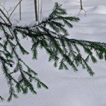 Profile Picture of Clapp (@clapprobjohnsnk) on Instagram