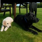 Profile Picture of Dawid Dankowski (@Dawid-Dankowski) on Facebook