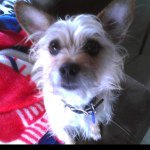 Profile Picture of Kimberly Sroka (@kimma1216) on Instagram