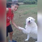 Profile Picture of Daniele Di Vittorio (@daniele_05__) on Instagram