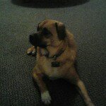 Profile Picture of peter cavallo (@peterxsoccer) on Instagram