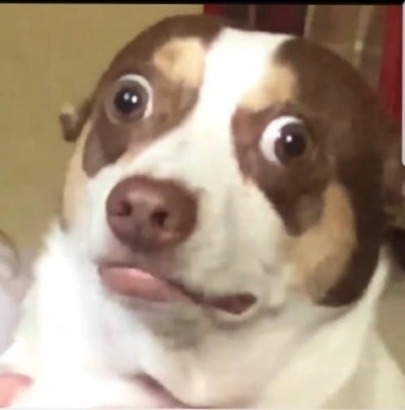 Profile Picture of Ryley Ryley (@nascar_fan14) on Poshmark