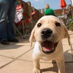 Profile Picture of Daniel Twardowski (@tvardowskyy) on Instagram