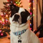 Profile Picture of Gus Alexander (@gusgoingonadventures) on Instagram